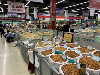 中部崛起勢正勁 安徽亳州如何“抓一把中藥，服下一帖驕傲”？——從傳統藥都到現代商品批發貿易中心的轉型之路
